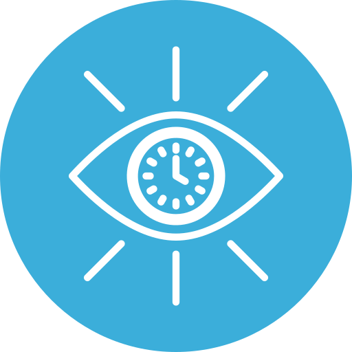 Vision Icon